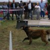 foire-haricots 2011-09-17et18